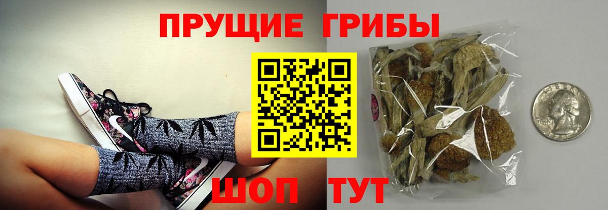 Псилоцибиновые грибы Cubensis  Вход с VPN  Дербент 